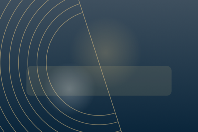 Vision and company model